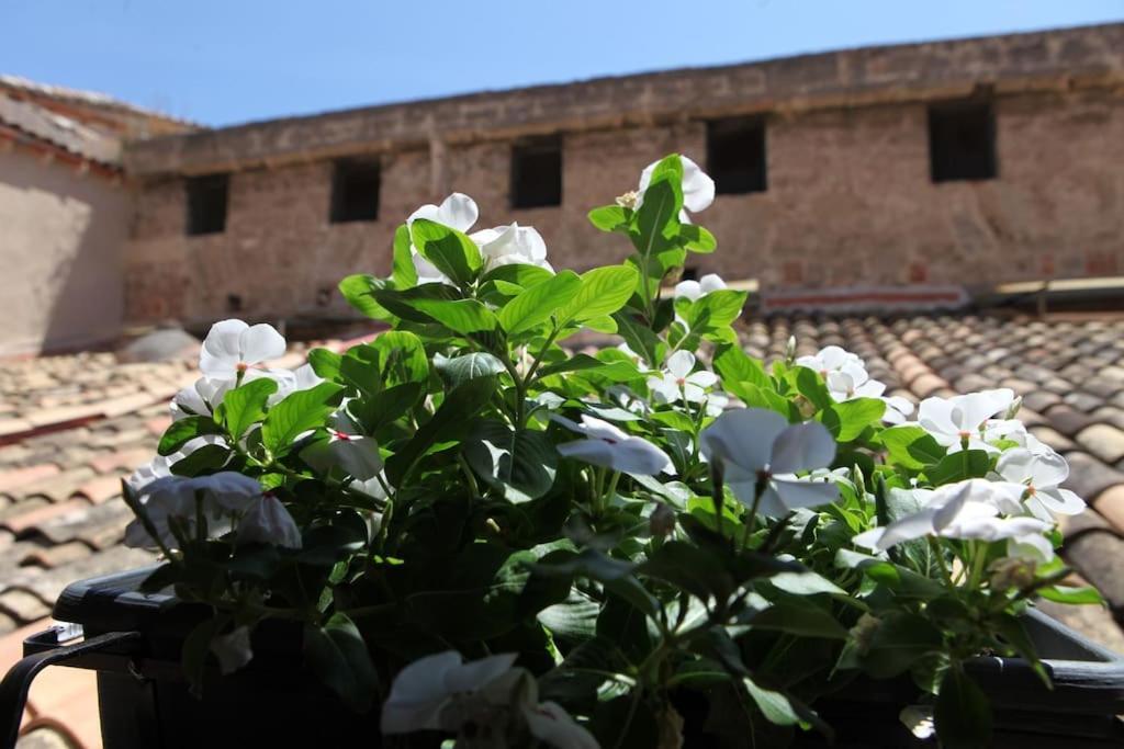 Sant'anna Home Palerme Extérieur photo